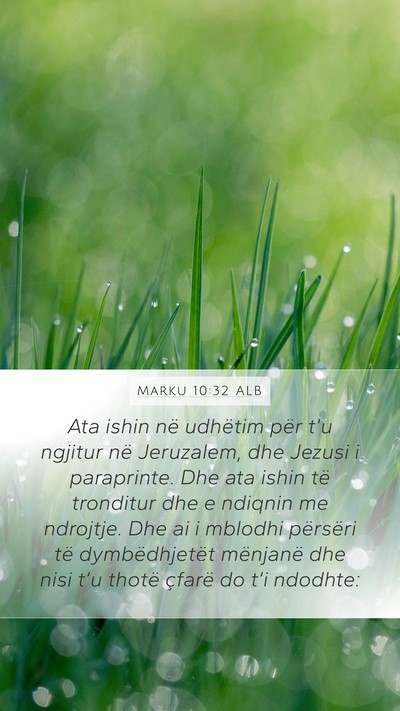 Marku 10:32 ALB Bible Verse Image