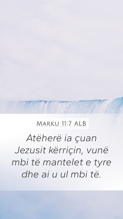 Marku 11:7 ALB Mobile Phone Wallpaper - Atëherë ia çuan Jezusit kërriçin, vunë mbi - Mobile Bible Verse Wallpaper