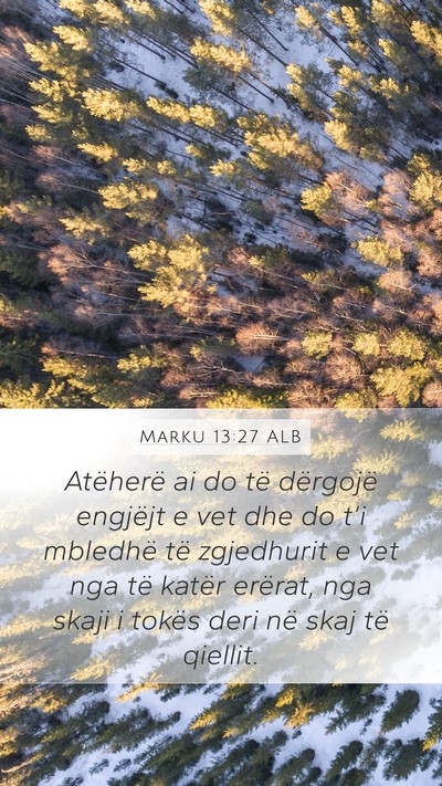 Marku 13:27 ALB Bible Verse Image