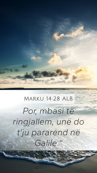 Marku 14:28 ALB Bible Verse Image