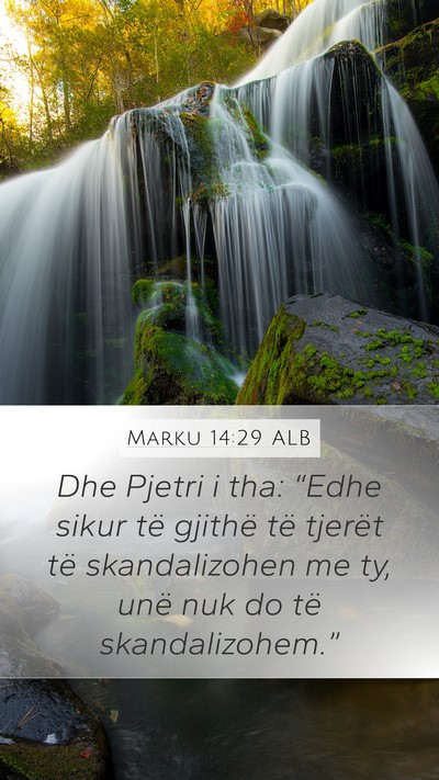 Marku 14:29 ALB Bible Verse Image