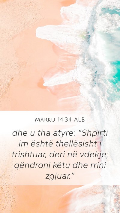 Marku 14:34 ALB Bible Verse Image