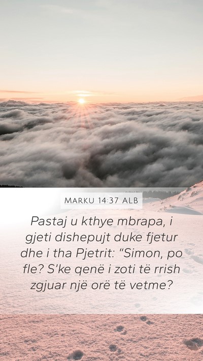 Marku 14:37 ALB Bible Verse Image