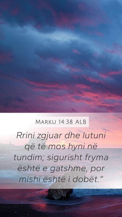 Marku 14:38 ALB Bible Verse Image