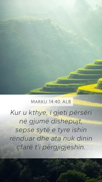 Marku 14:40 ALB Bible Verse Image