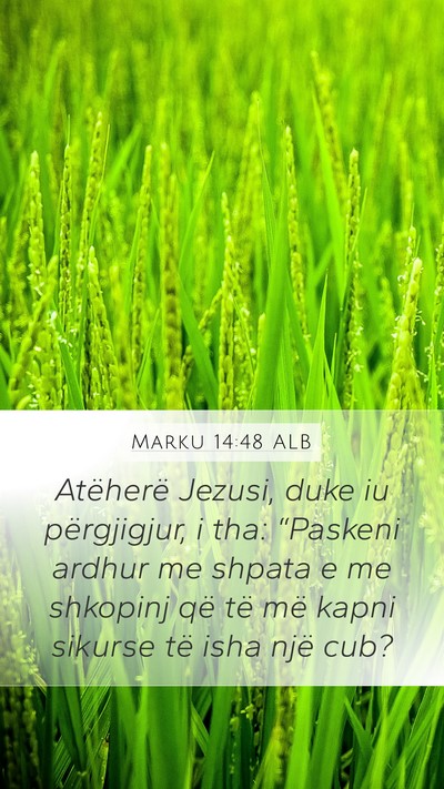 Marku 14:48 ALB Bible Verse Image
