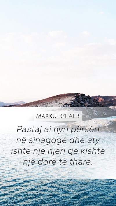 Marku 3:1 ALB Bible Verse Image