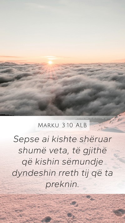 Marku 3:10 ALB Bible Verse Image