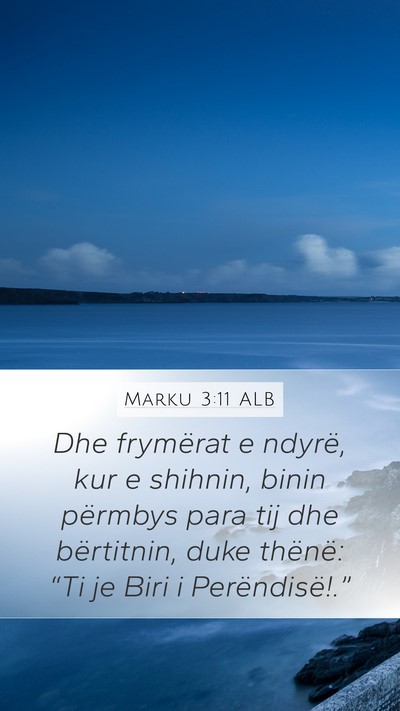 Marku 3:11 ALB Bible Verse Image