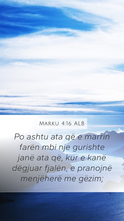 Marku 4:16 ALB Bible Verse Image