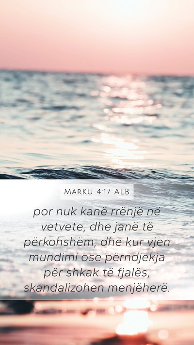 Marku 4:17 ALB Bible Verse Image