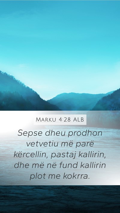 Marku 4:28 ALB Bible Verse Image