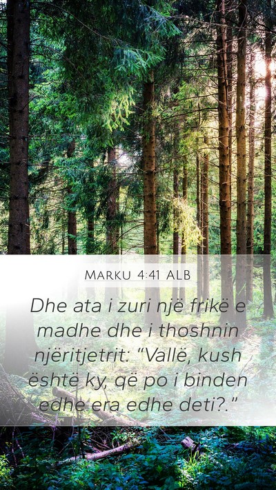 Marku 4:41 ALB Bible Verse Image