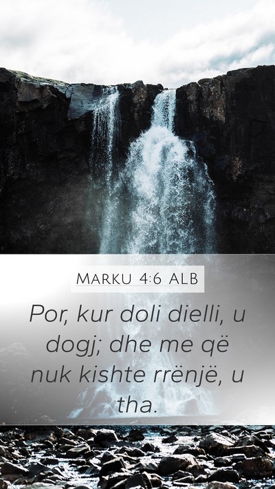 Marku 4:6 ALB Bible Verse Image