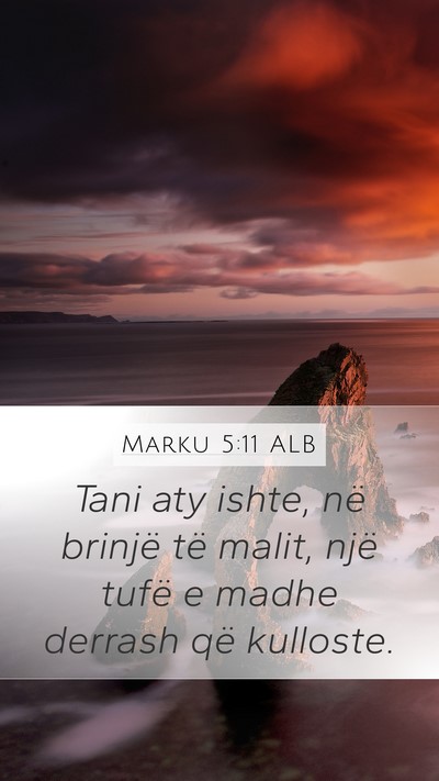 Marku 5:11 ALB Bible Verse Image