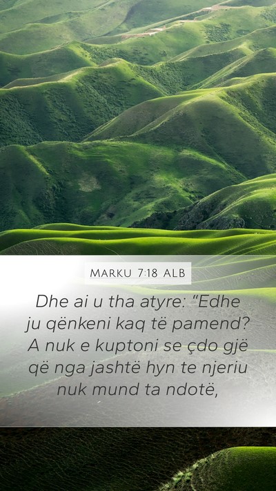 Marku 7:18 ALB Bible Verse Image