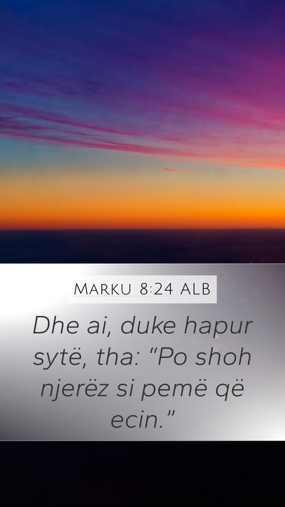 Marku 8:24 ALB Bible Verse Image