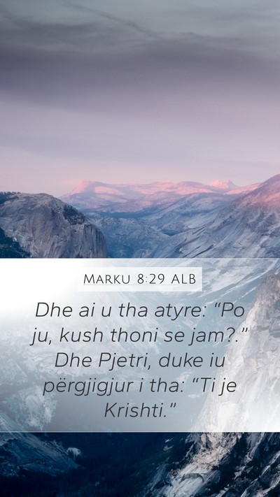 Marku 8:29 ALB Bible Verse Image