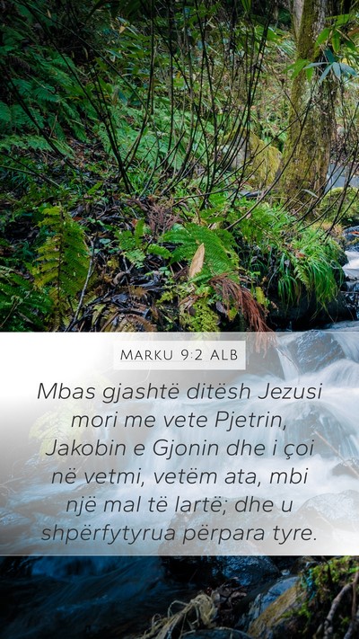 Marku 9:2 ALB Bible Verse Image