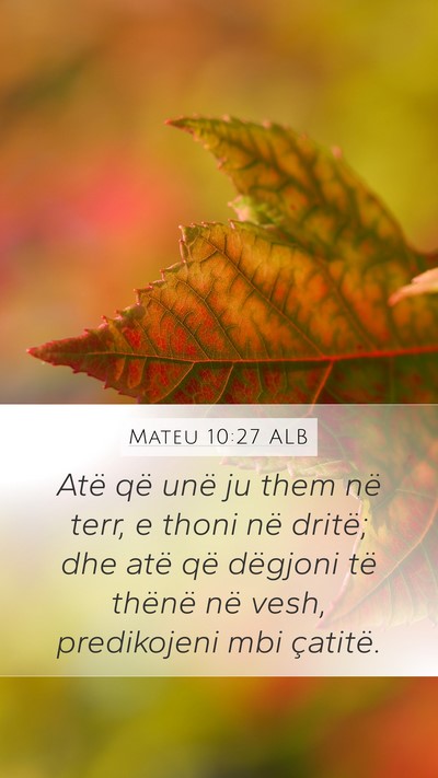 Mateu 10:27 ALB Bible Verse Image