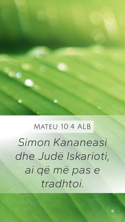 Mateu 10:4 ALB Bible Verse Image