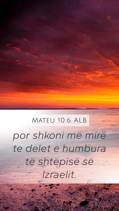 Mateu 10:6 ALB Bible Verse Image