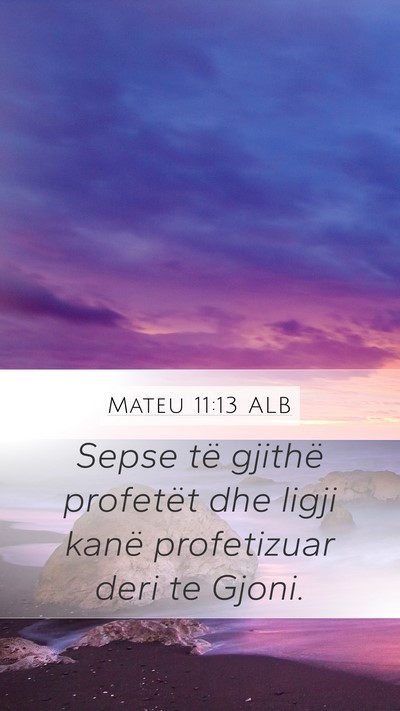 Mateu 11:13 ALB Bible Verse Image