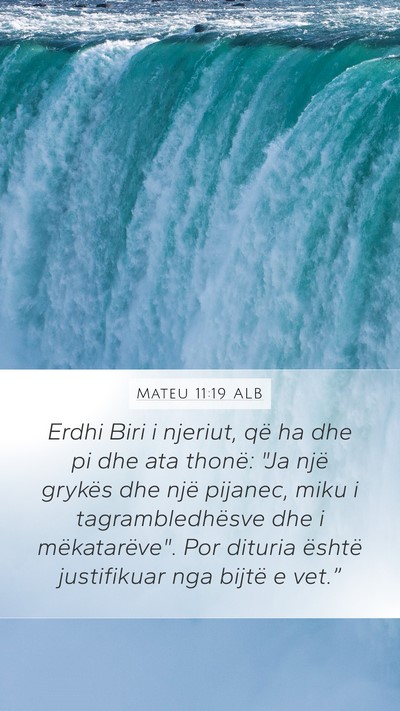 Mateu 11:19 ALB Bible Verse Image