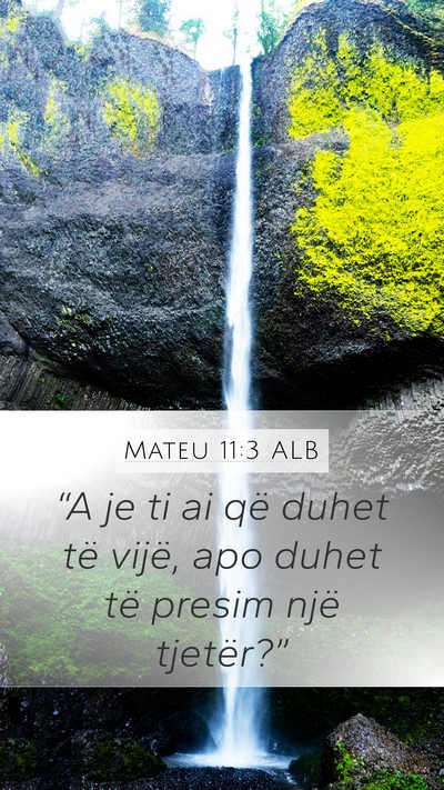 Mateu 11:3 ALB Bible Verse Image