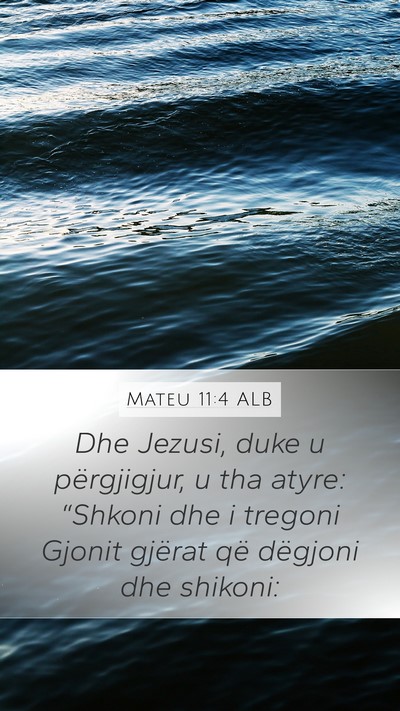 Mateu 11:4 ALB Bible Verse Image