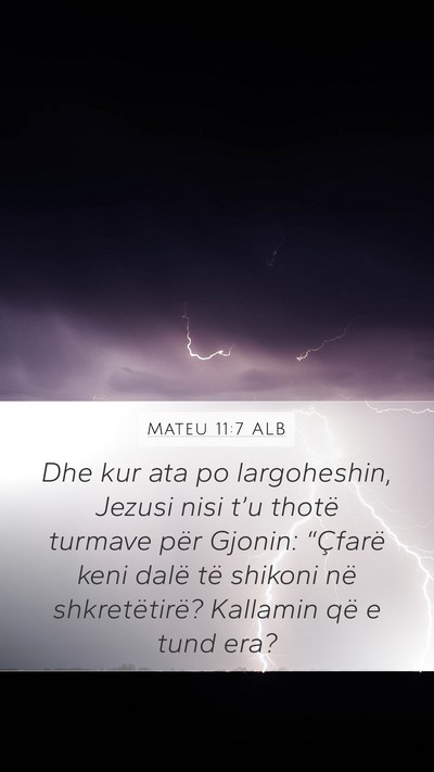 Mateu 11:7 ALB Bible Verse Image
