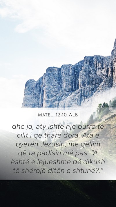 Mateu 12:10 ALB Bible Verse Image