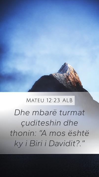 Mateu 12:23 ALB Bible Verse Image