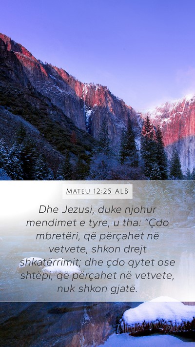 Mateu 12:25 ALB Bible Verse Image