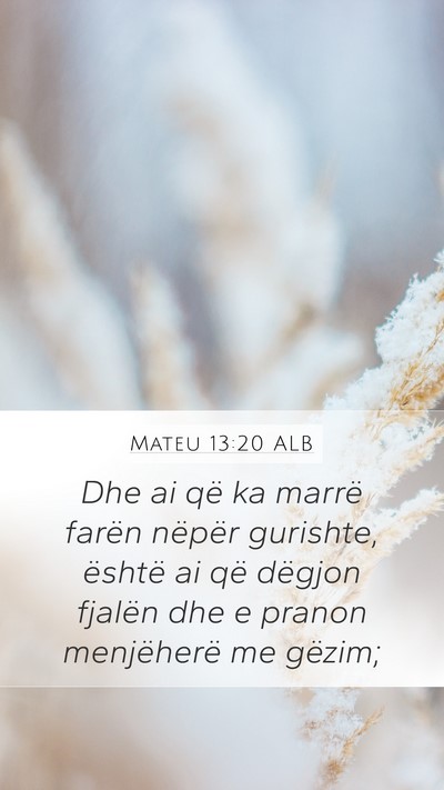 Mateu 13:20 ALB Bible Verse Image