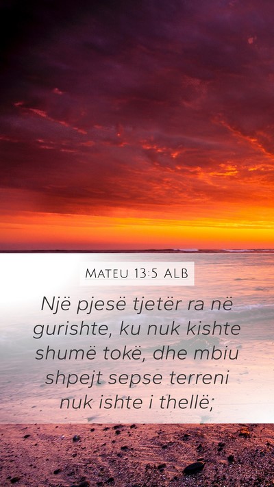 Mateu 13:5 ALB Mobile Phone Wallpaper - Një pjesë tjetër ra në gurishte, ku nuk - Mobile Bible Verse Wallpaper