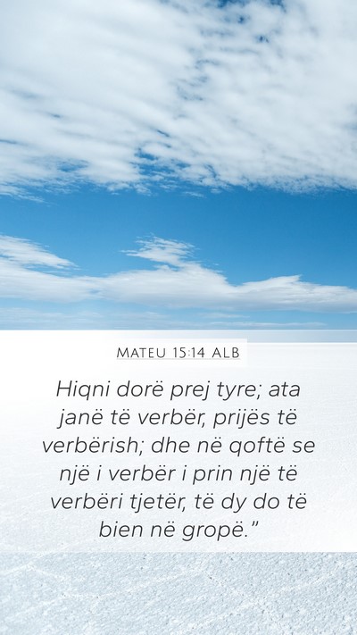 Mateu 15:14 ALB Bible Verse Image