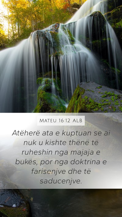 Mateu 16:12 ALB Bible Verse Image