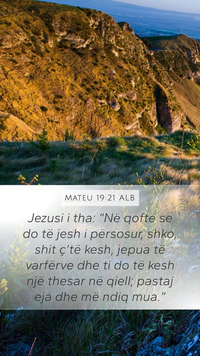 Mateu 19:21 ALB Bible Verse Image