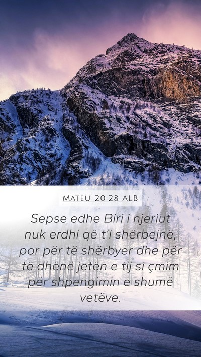 Mateu 20:28 ALB Bible Verse Image