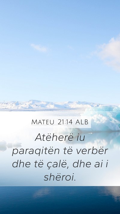 Mateu 21:14 ALB Bible Verse Image