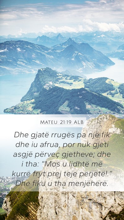 Mateu 21:19 ALB Bible Verse Image