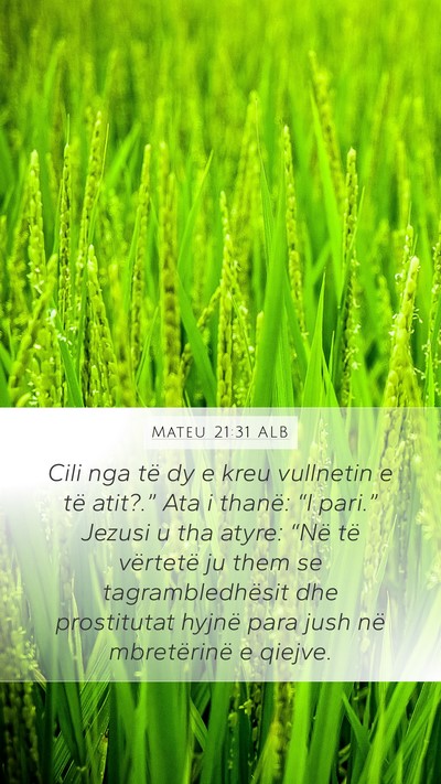 Mateu 21:31 ALB Bible Verse Image