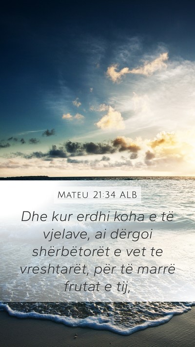 Mateu 21:34 ALB Bible Verse Image