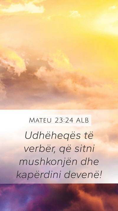 Mateu 23:24 ALB Bible Verse Image