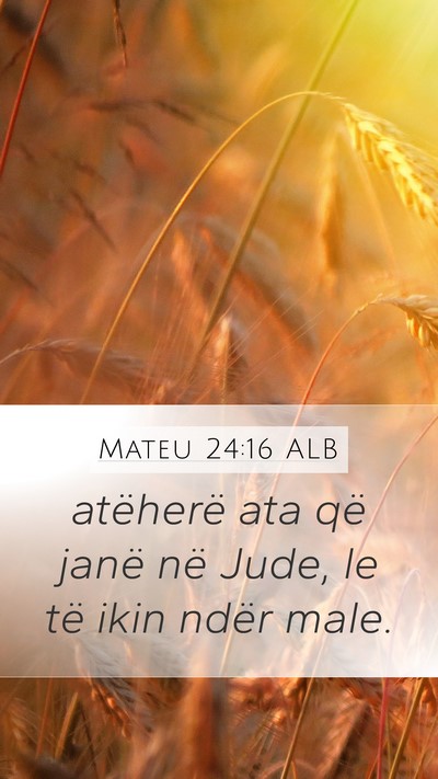 Mateu 24:16 ALB Mobile Phone Wallpaper - atëherë ata që janë në Jude, le të ikin - Mobile Bible Verse Wallpaper
