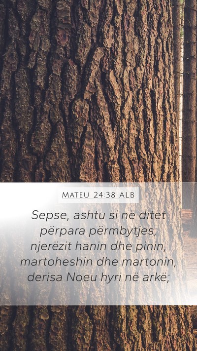 Mateu 24:38 ALB Bible Verse Image