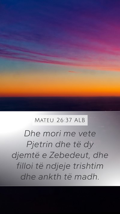 Mateu 26:37 ALB Bible Verse Image