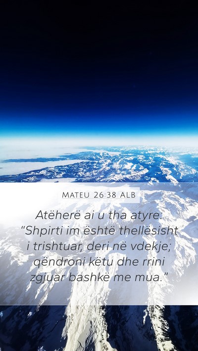 Mateu 26:38 ALB Bible Verse Image
