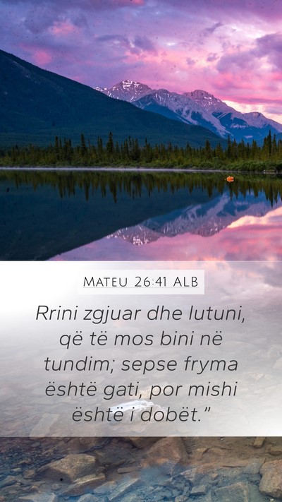 Mateu 26:41 ALB Bible Verse Image